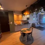 Oliwkowy - Stylowy W Naturalnym Klimacie Apartment