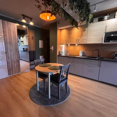 Apartment Oliwkowy - Stylowy W Naturalnym Klimacie *