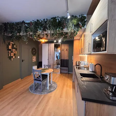 Apartment Oliwkowy - Stylowy W Naturalnym Klimacie Częstochowa