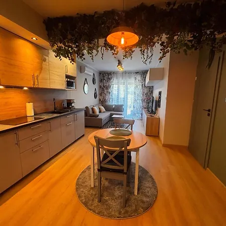 Apartment Oliwkowy - Stylowy W Naturalnym Klimacie