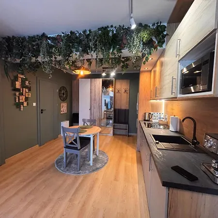 Klaver - Oliwkowy Apartment *