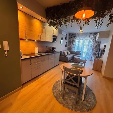 Oliwkowy - Stylowy W Naturalnym Klimacie Apartment