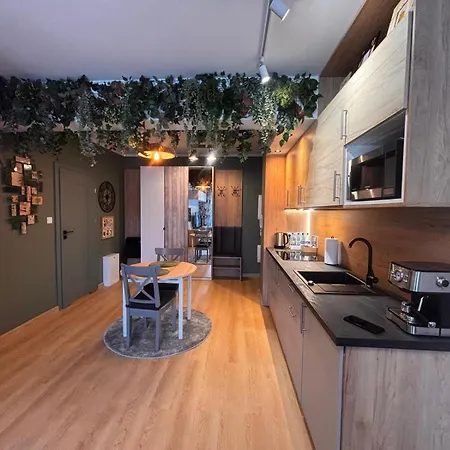 Apartment Oliwkowy - Stylowy W Naturalnym Klimacie *