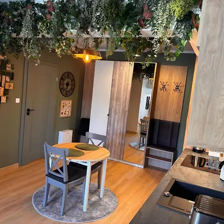 Apartment Oliwkowy - Stylowy W Naturalnym Klimacie