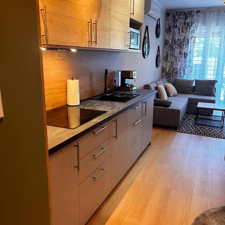 Apartman Oliwkowy - Stylowy W Naturalnym Klimacie *