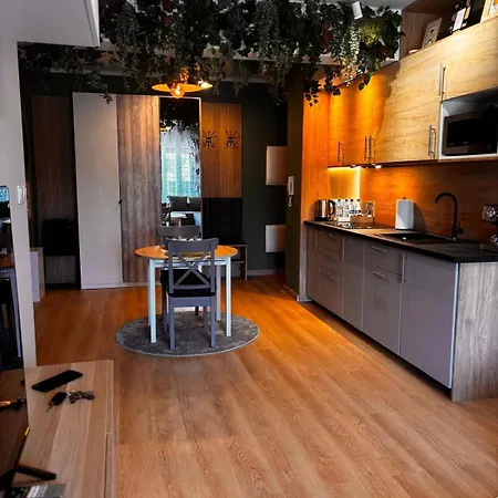 Apartment Oliwkowy - Stylowy W Naturalnym Klimacie