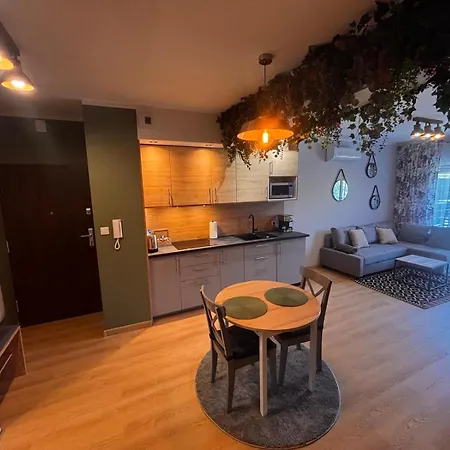 Oliwkowy - Stylowy W Naturalnym Klimacie Apartment