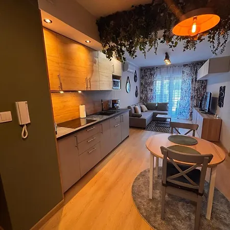 Oliwkowy - Stylowy W Naturalnym Klimacie Apartment *