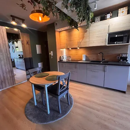 Oliwkowy - Stylowy W Naturalnym Klimacie Częstochowa