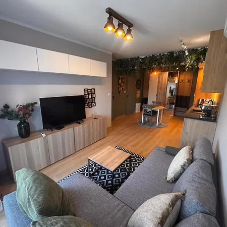 Apartment Oliwkowy - Stylowy W Naturalnym Klimacie *