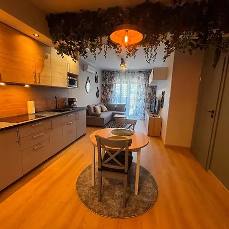 Apartment Oliwkowy - Stylowy W Naturalnym Klimacie Częstochowa