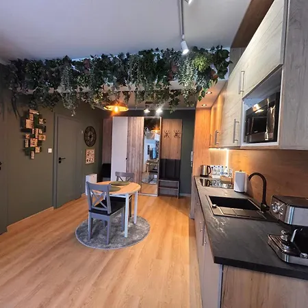 Oliwkowy - Stylowy W Naturalnym Klimacie *