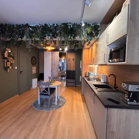 Oliwkowy - Stylowy W Naturalnym Klimacie