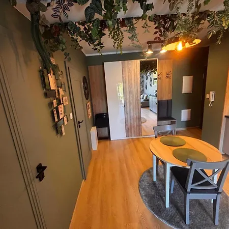 Oliwkowy - Stylowy W Naturalnym Klimacie *