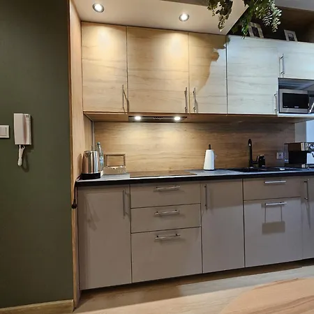 Oliwkowy - Stylowy W Naturalnym Klimacie Apartment *