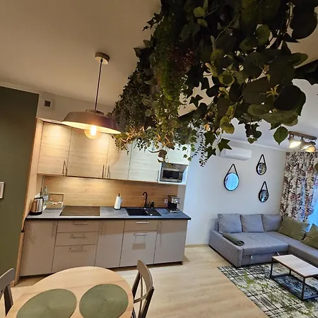 Oliwkowy - Stylowy W Naturalnym Klimacie * ブィドゴシュチュ