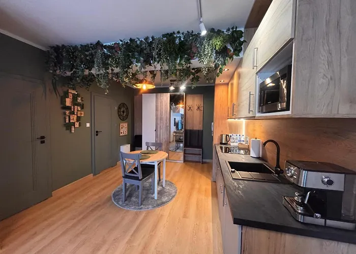 Lägenhet Oliwkowy - Stylowy W Naturalnym Klimacie Częstochowa