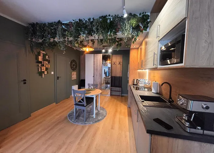 Oliwkowy - Stylowy W Naturalnym Klimacie Lägenhet *