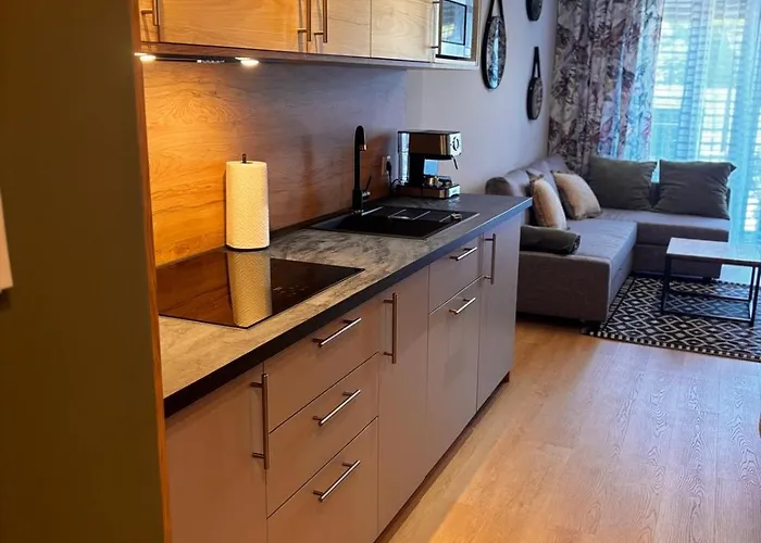 Lägenhet Oliwkowy - Stylowy W Naturalnym Klimacie *