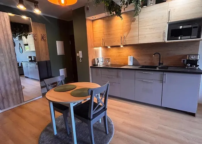 Oliwkowy - Stylowy W Naturalnym Klimacie تشينستوخوفا