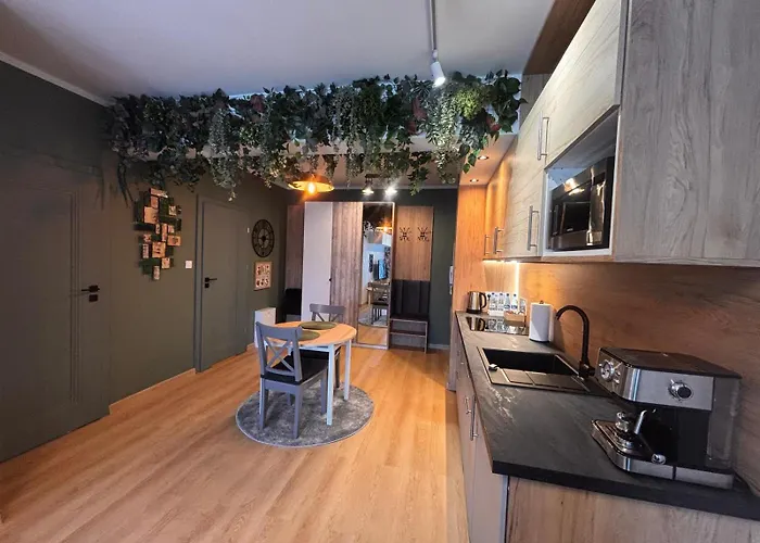 Oliwkowy - Stylowy W Naturalnym Klimacie *