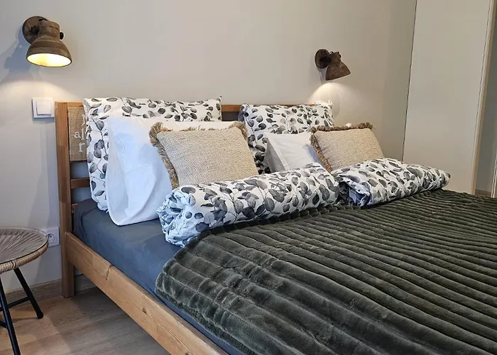 Oliwkowy - Stylowy W Naturalnym Klimacie