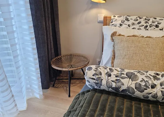 Oliwkowy - Stylowy W Naturalnym Klimacie تشينستوخوفا