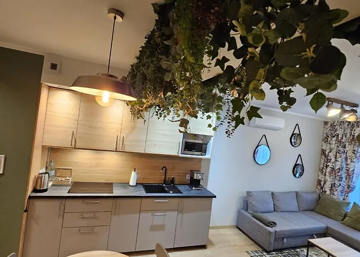 Oliwkowy - Stylowy W Naturalnym Klimacie * تشينستوخوفا