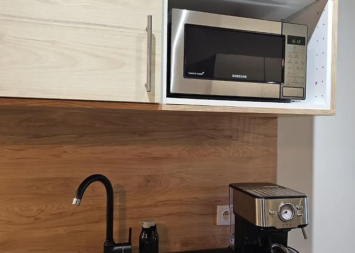 شقة Oliwkowy - Stylowy W Naturalnym Klimacie تشينستوخوفا